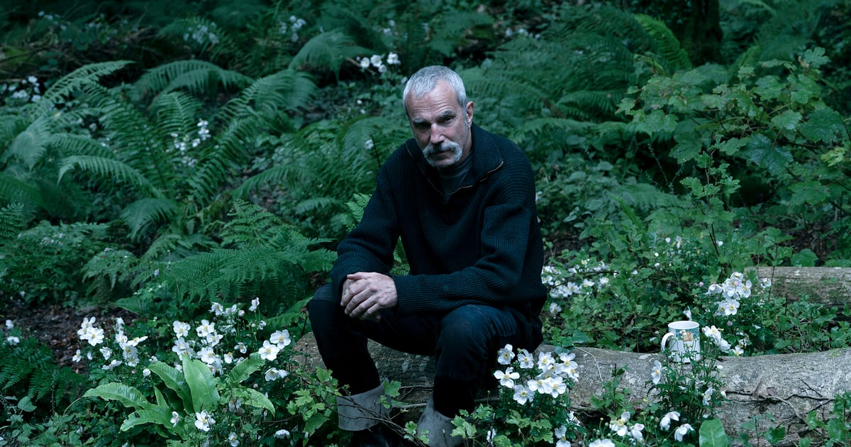 Anemone review – Daniel Day-Lewis’s return to the…