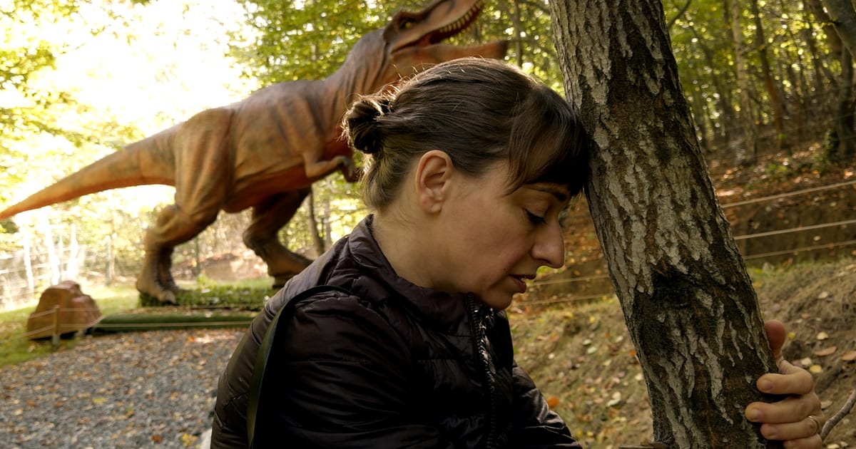 Kontinental ’25 review – incisive, accessible and…