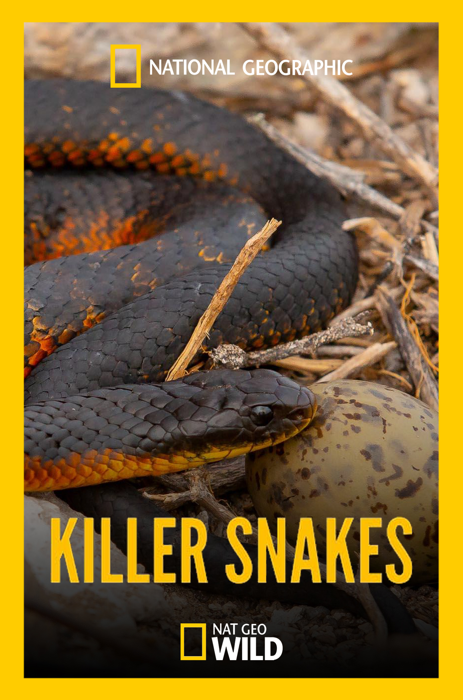 Katil Yılanlar (2020) / Nat Geo Wild TR