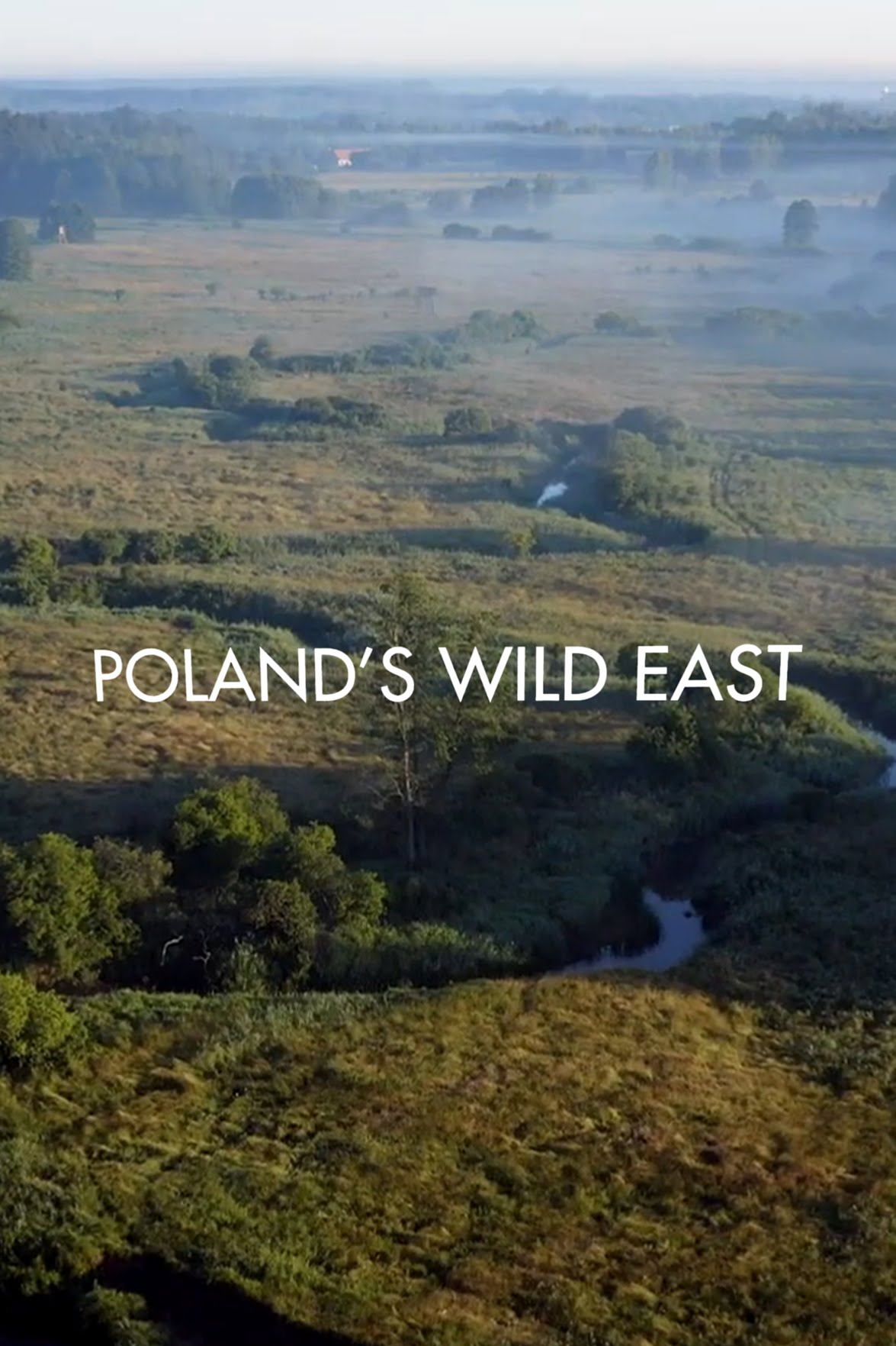 Polonya'nın Vahşi Doğusu (2022) / Viasat Nature