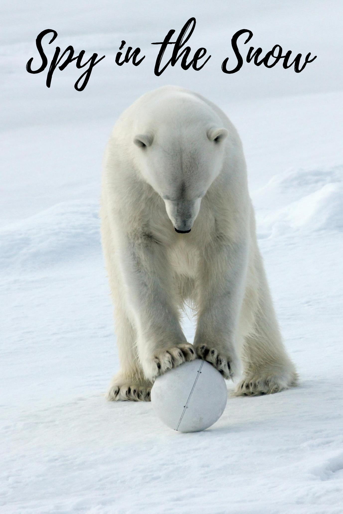 Kardaki Ajan (2018) / Viasat Nature