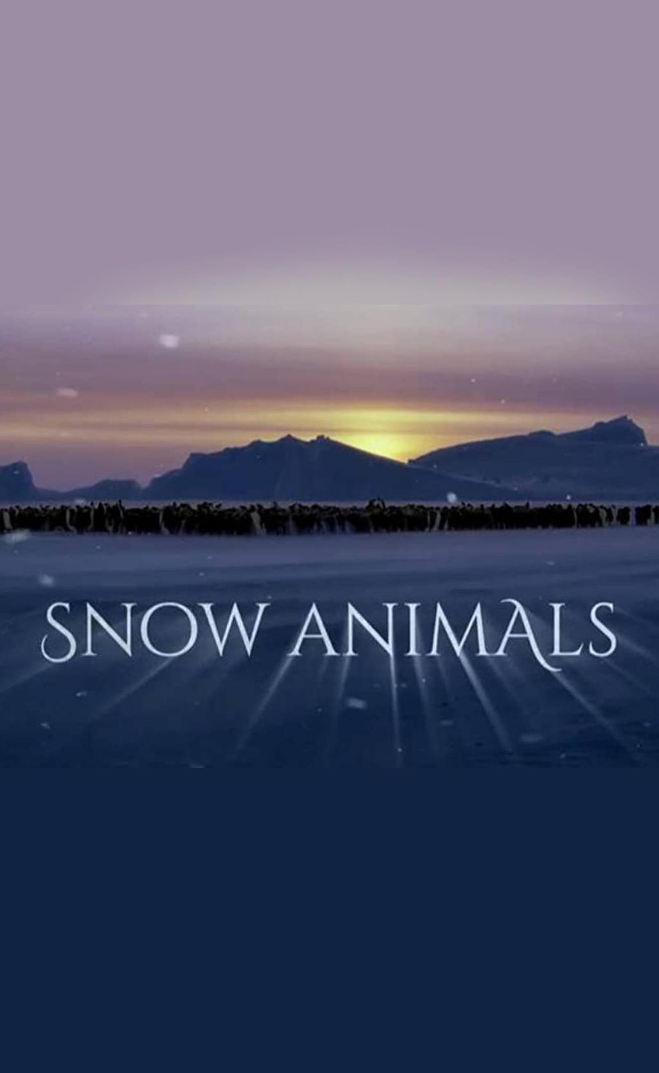 Kar Hayvanları (2019) / Viasat Nature